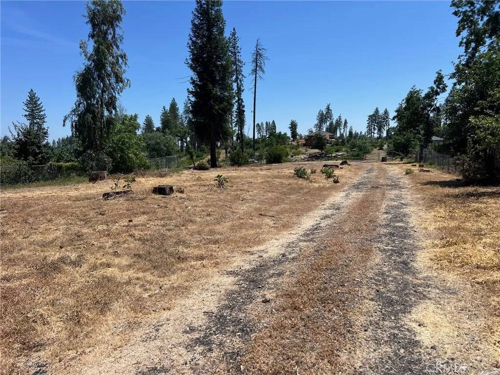 Paradise, CA 95969,1846 Bille