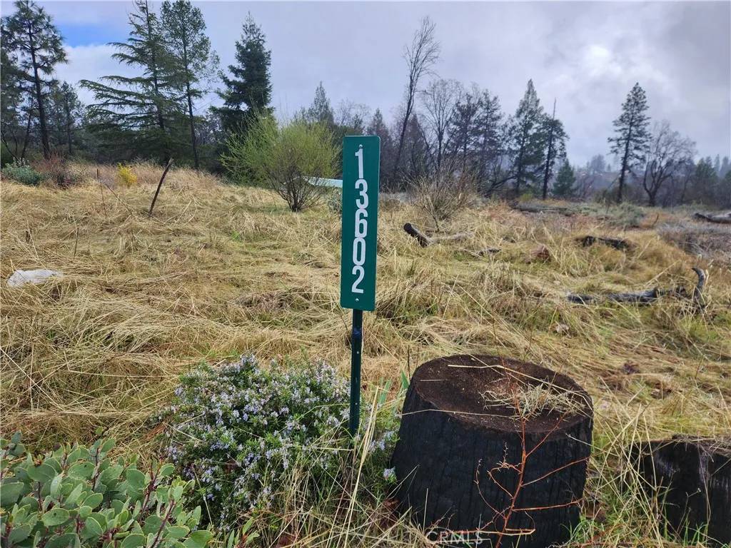 Magalia, CA 95954,13602 Andover