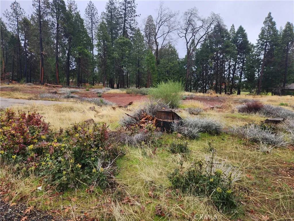 Magalia, CA 95954,13744 W Park