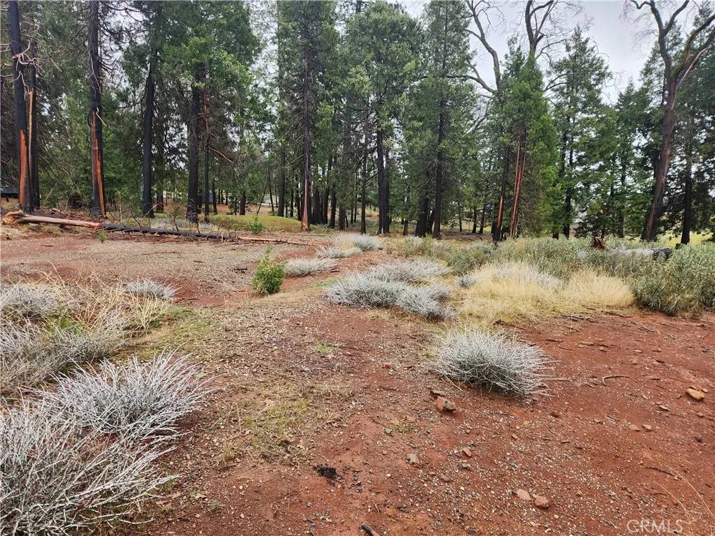 Magalia, CA 95954,13744 W Park