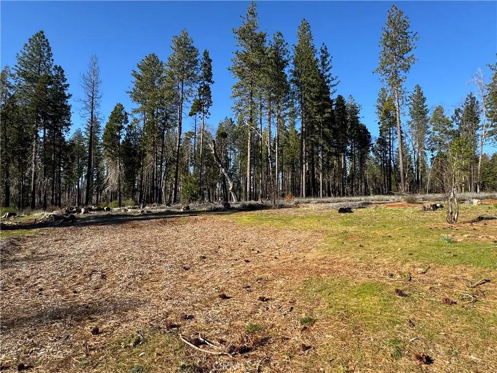 Magalia, CA 95954,13787 Curtis