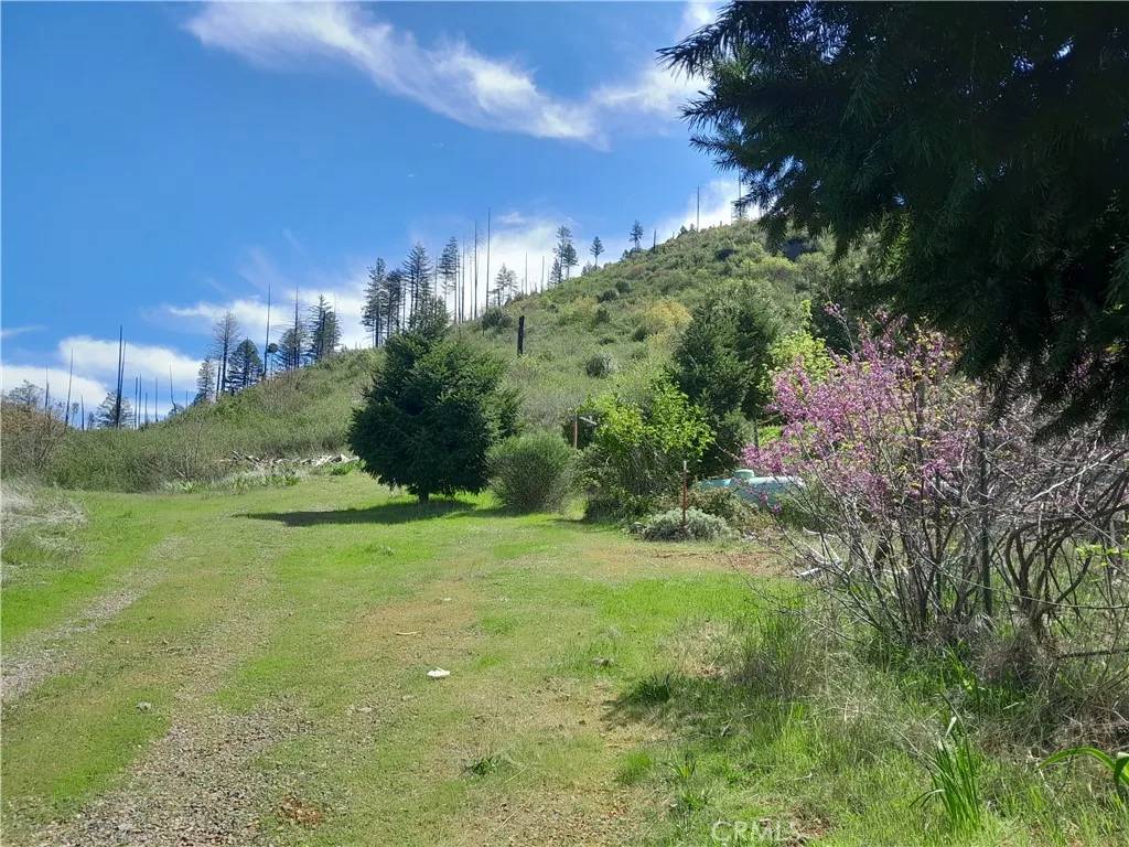 Concow, CA 95965,4236 Kakini