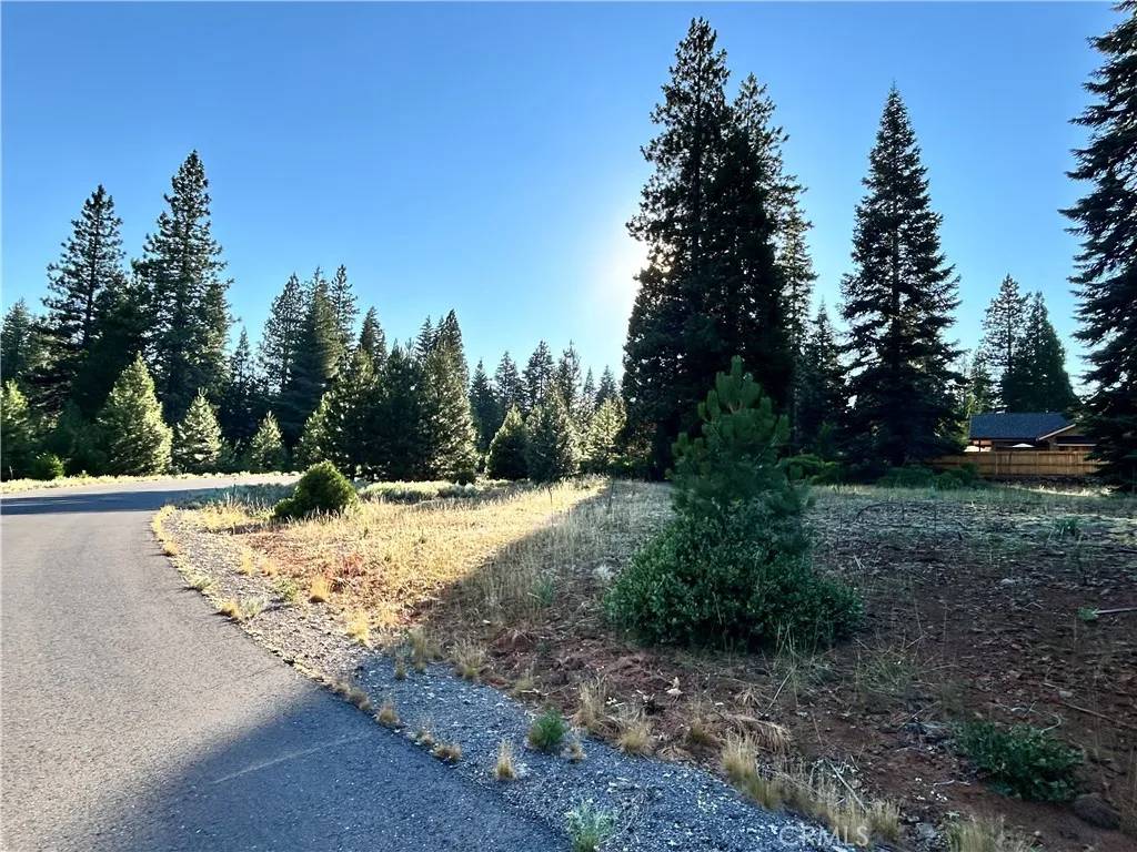 Lake Almanor Peninsula, CA 96137,179 Treetop