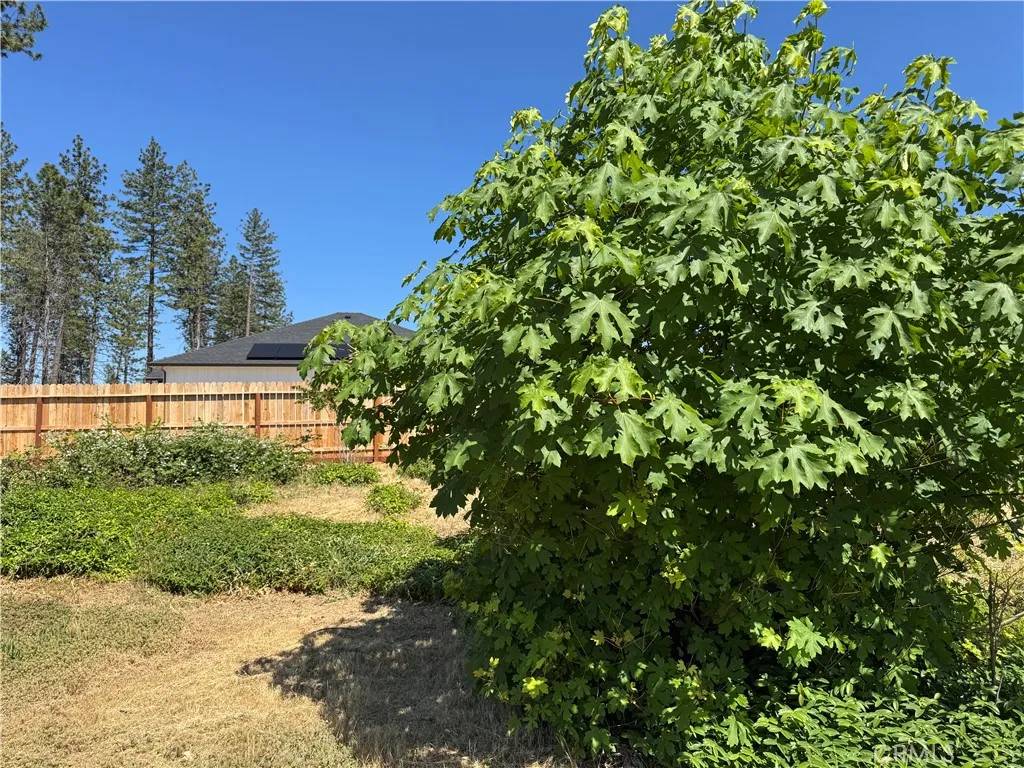 Paradise, CA 95969,5936 Kibler