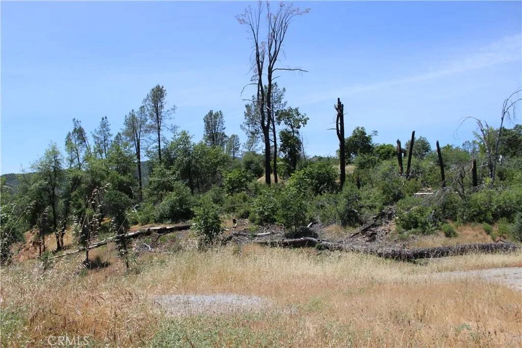 Redding, CA 96001,10255 Carrousel