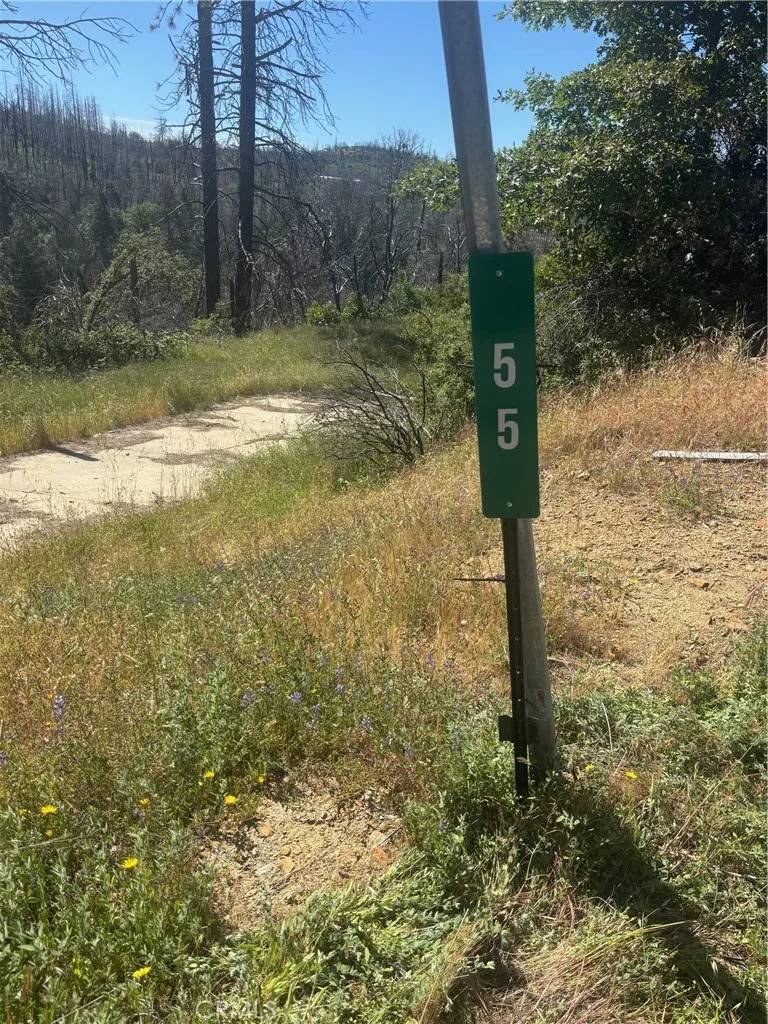 Berry Creek, CA 95916,55 Town Hill