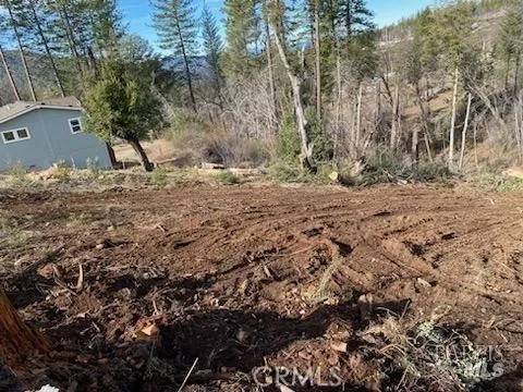 Cobb, CA 95426,11424 Pine Summit