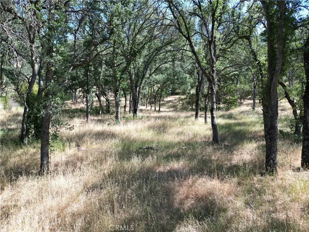 Corning, CA 96021,16625 Rancho Tehama
