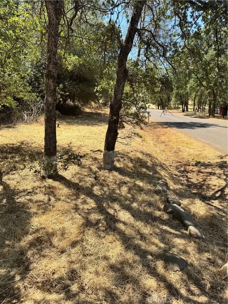 Oroville, CA 95966,322 Lausen