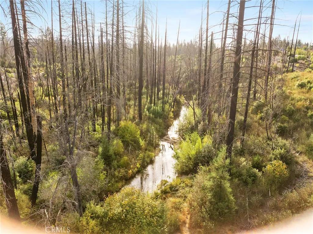 Berry Creek, CA 95916,0 Gamble