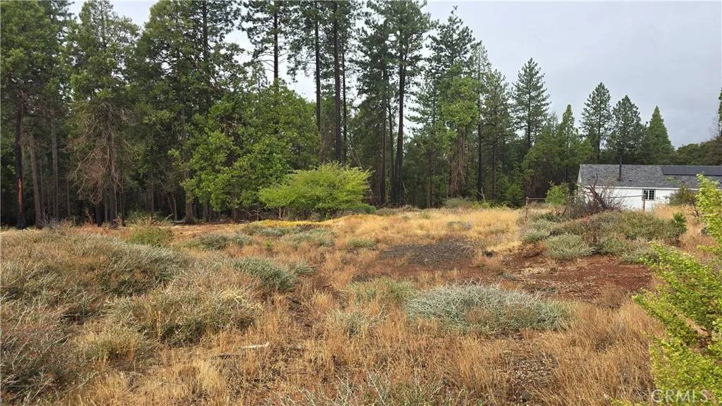 Magalia, CA 95954,13941 Cluster