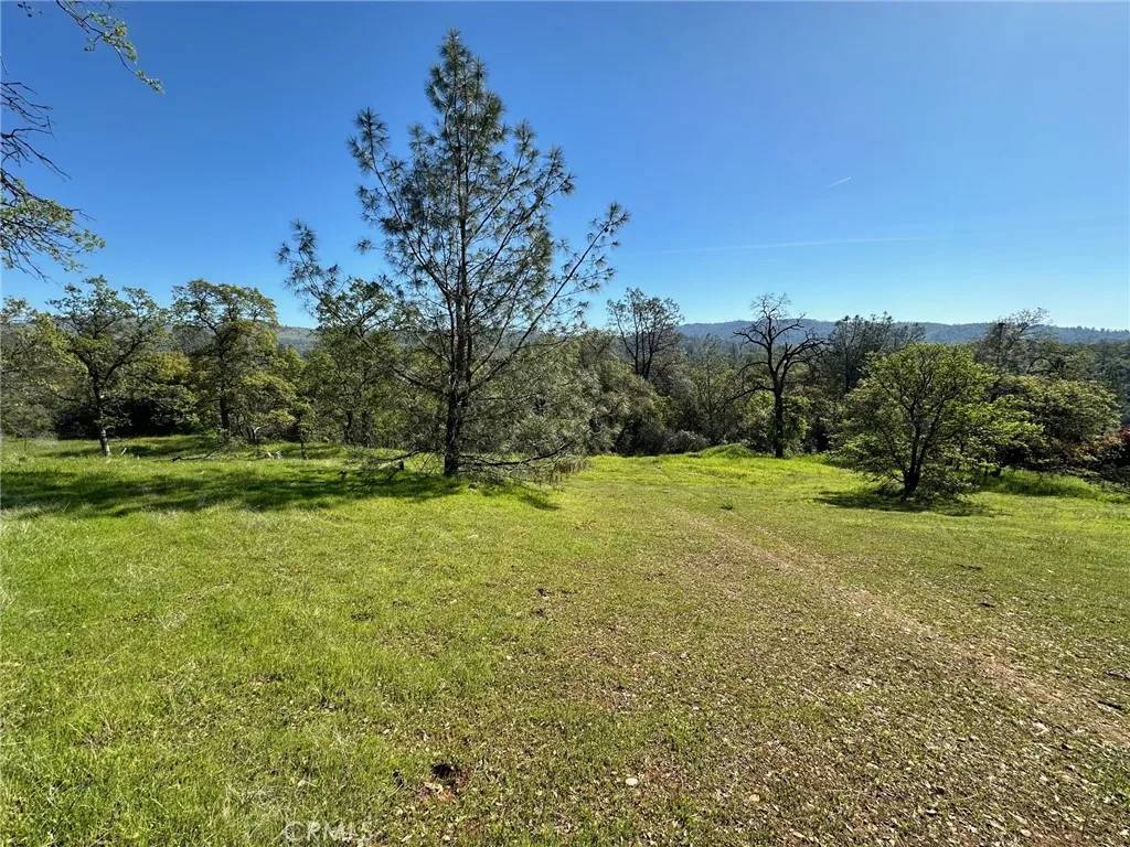 Oroville, CA 95966,169 Shady Oak