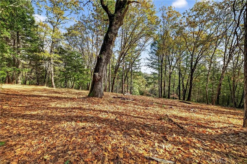 Forest Ranch, CA 95942,0 Burgundy