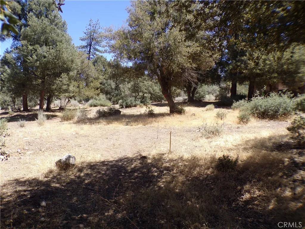 Pine Mountain Club, CA 93222,16220 Askin Drive