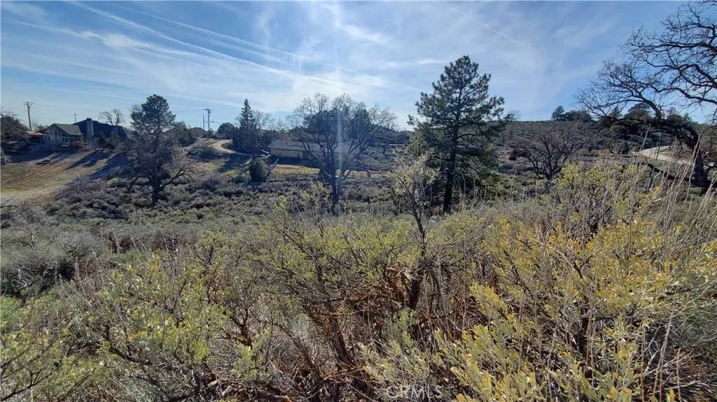Tehachapi, CA 93561,25041 Jacaranda