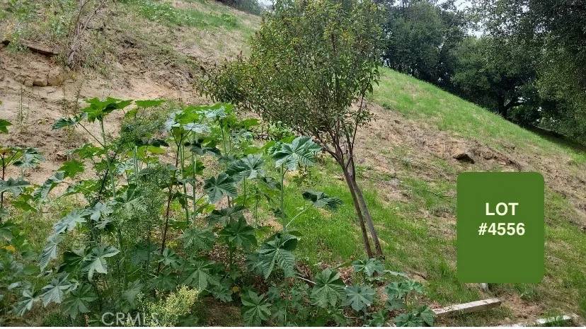 Woodland Hills, CA 91364,4601 Ensenada