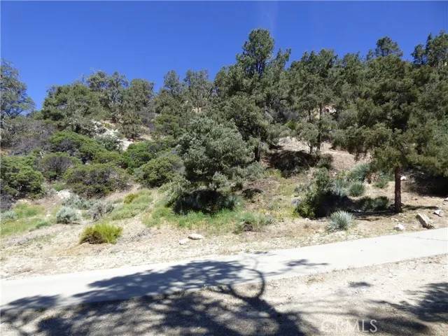 Frazier Park, CA 93225,0 Escolon