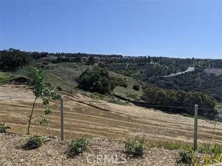 Chatsworth, CA 91311,17 COYA