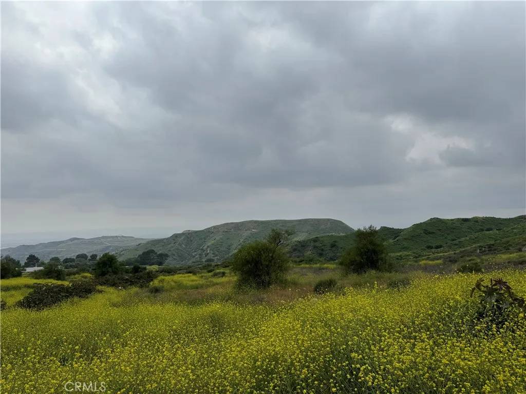 Kagel Canyon, CA 91342,11275 Hadler