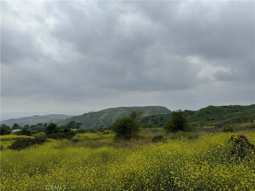 Kagel Canyon, CA 91342,11275 Hadler