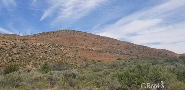 Acton, CA 93510,0 Vac/Soledad Pass Drt /Vic Hill