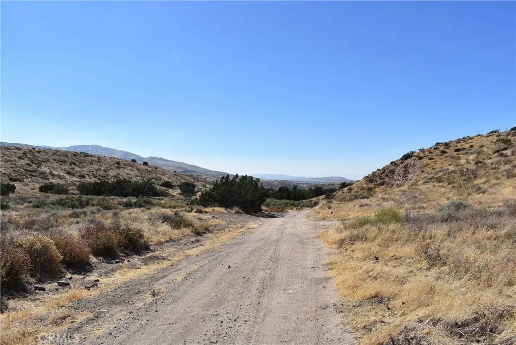 Palmdale, CA 93550,1 Carson View