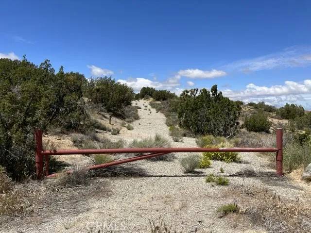 Juniper Hills, CA 93553,128 Longview