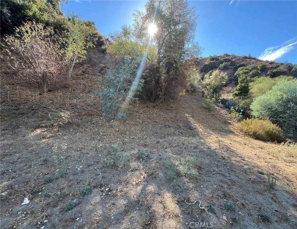 Sun Valley, CA 91352,9040 La Tuna Canyon