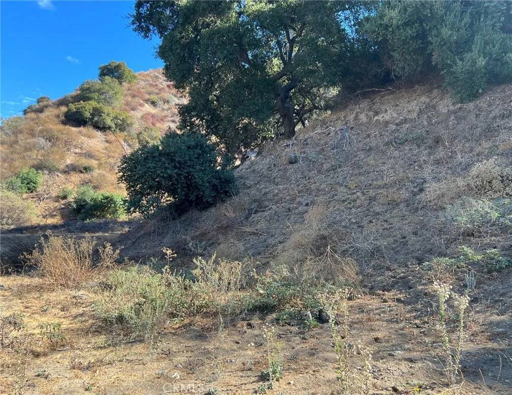 Sun Valley, CA 91352,9040 La Tuna Canyon
