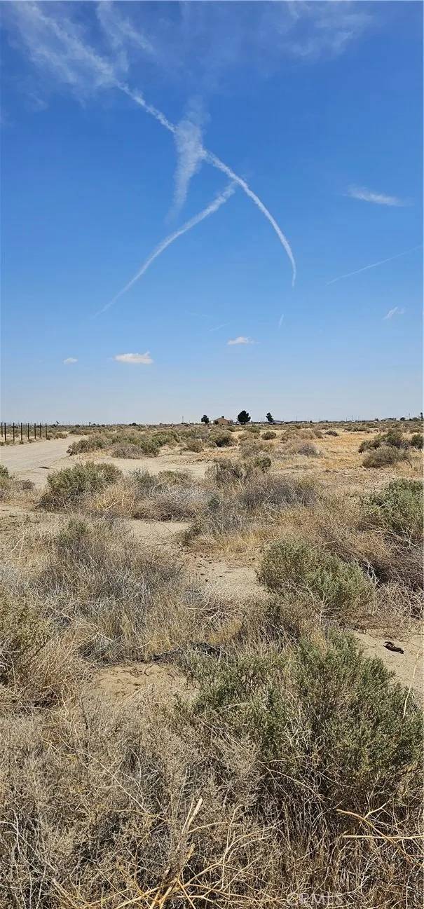Rosamond, CA 93560,0 George