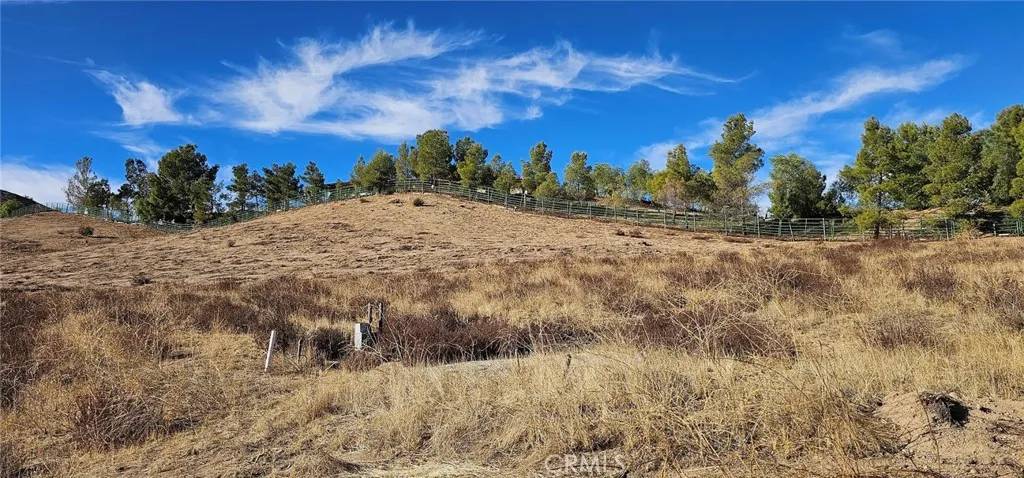 Agua Dulce, CA 91390,0 Carrie