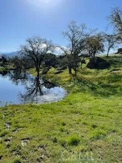 Porterville, CA 93257,0 Pothole