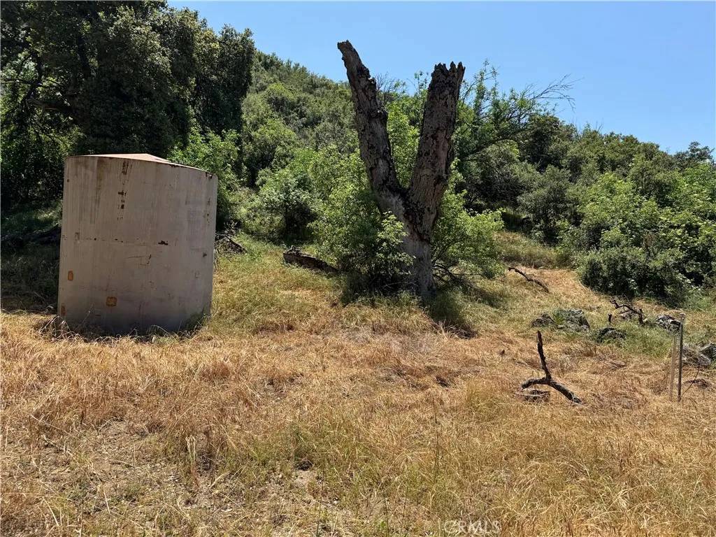 Green Valley, CA 91390,0 San Francisquito Canyon