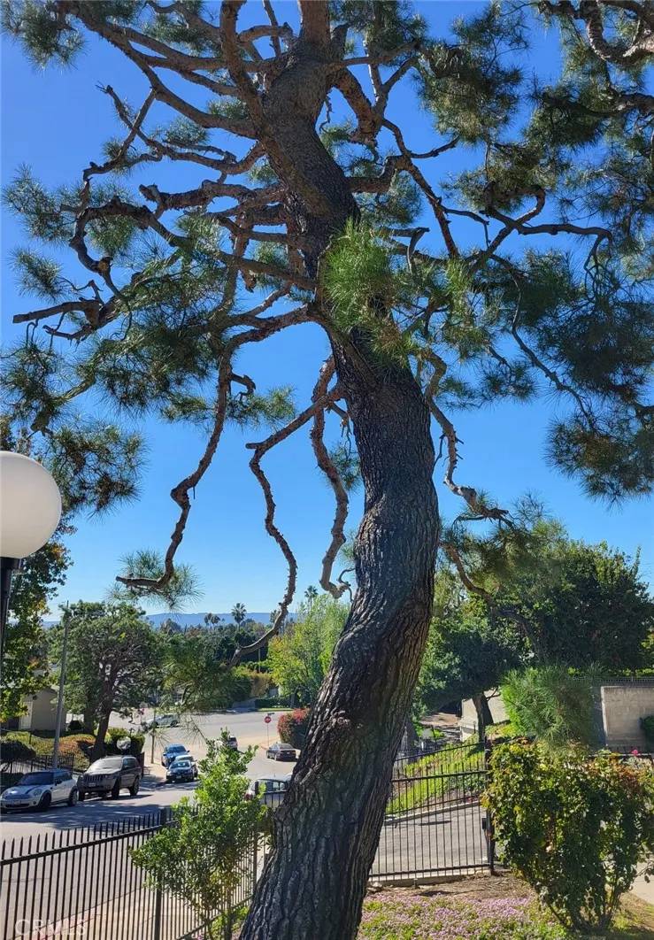 Granada Hills, CA 91344,15775 Midwood Drive #3