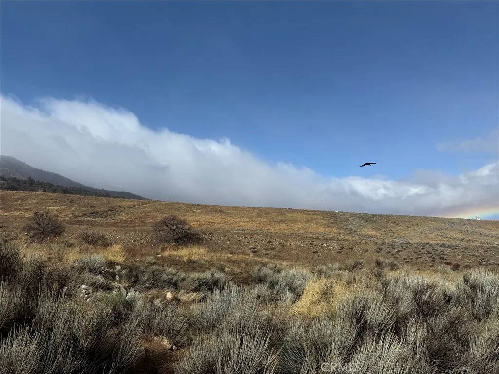 Tehachapi, CA 93561,0 Summers