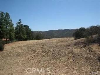 Calabasas, CA 91302,22800 Mulholland