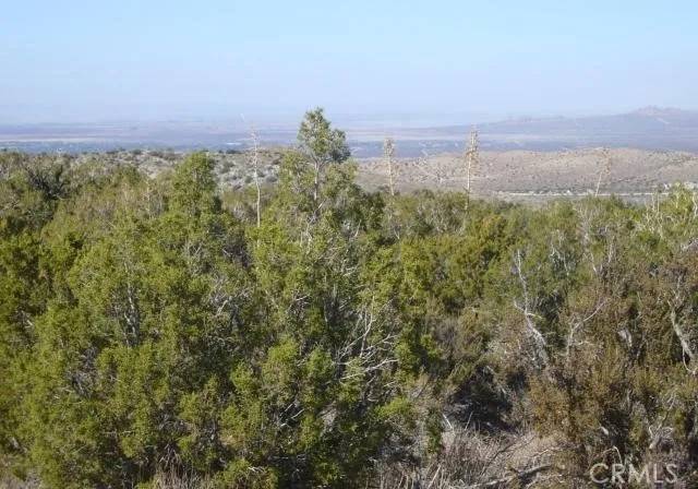 Juniper Hills, CA 93543,1 E Avenue Z2/118 Ste