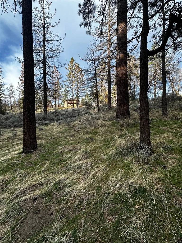 Tehachapi, CA 93561,25641 Paramount