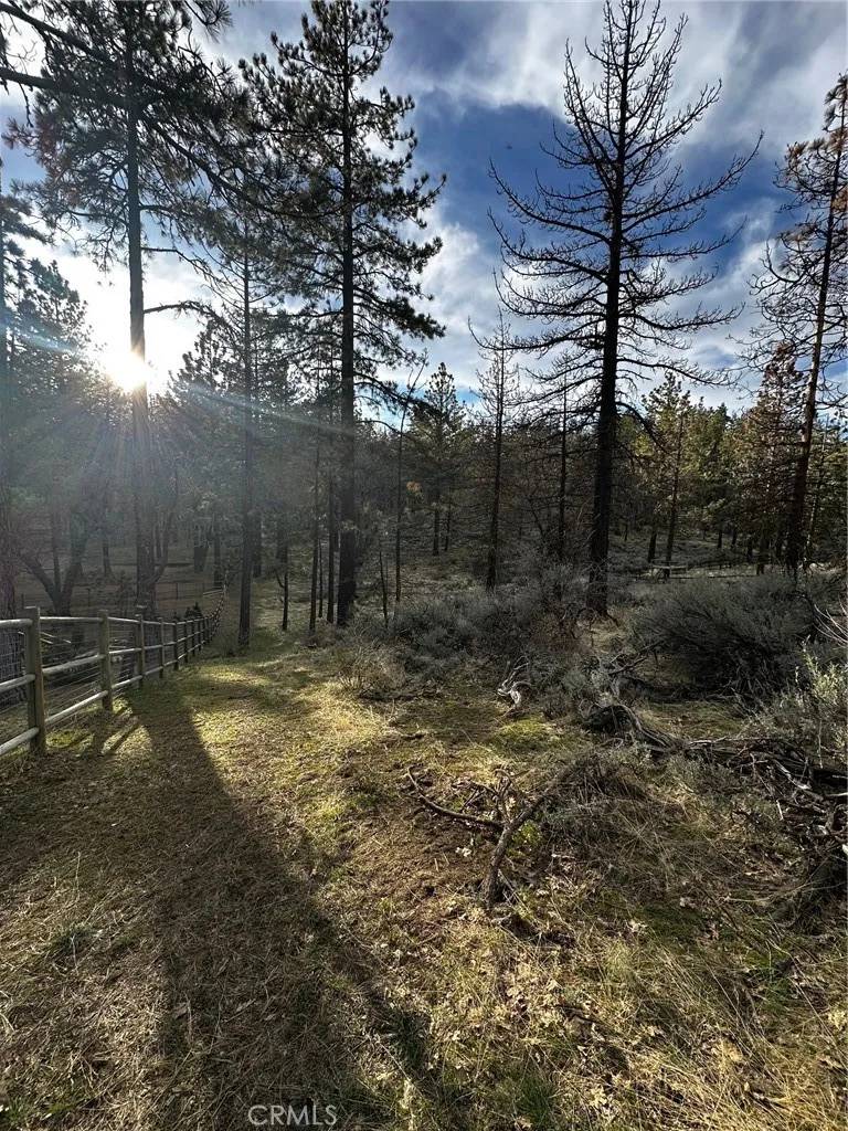 Tehachapi, CA 93561,25641 Paramount