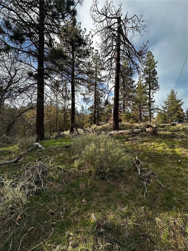 Tehachapi, CA 93561,25641 Paramount