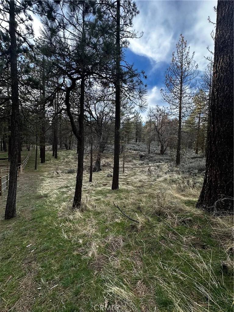Tehachapi, CA 93561,25641 Paramount