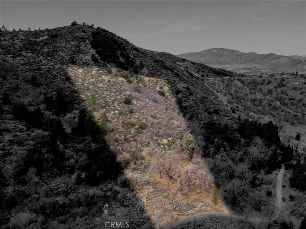 Alpine Forest, CA 93561,0 APN#325-102-02