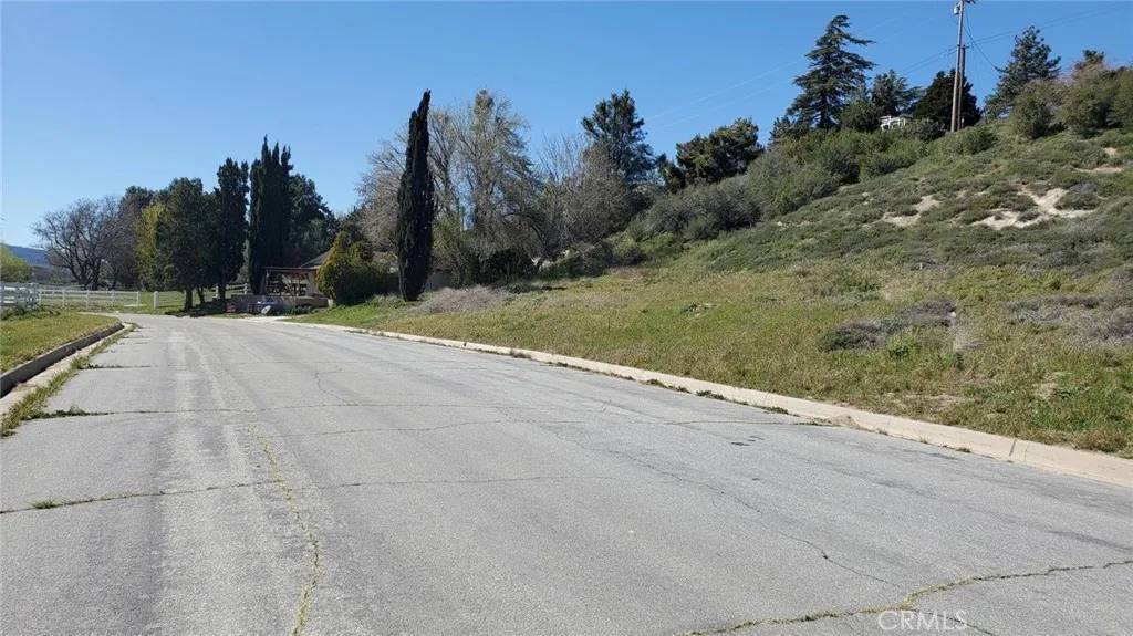 Lake Elizabeth, CA 93532,0 Kiptree Drive