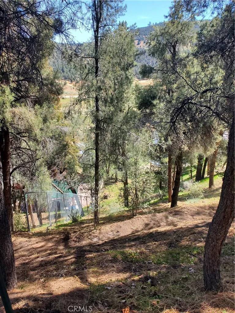 Frazier Park, CA 93225,1400 Pinetree