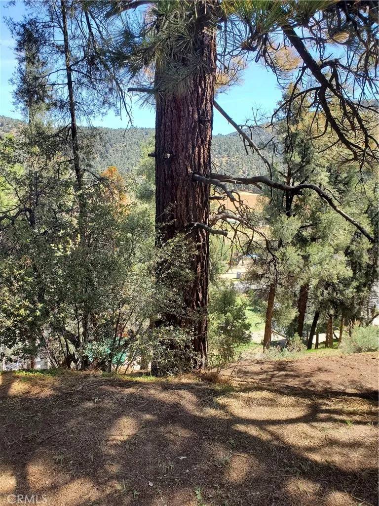 Frazier Park, CA 93225,1400 Pinetree