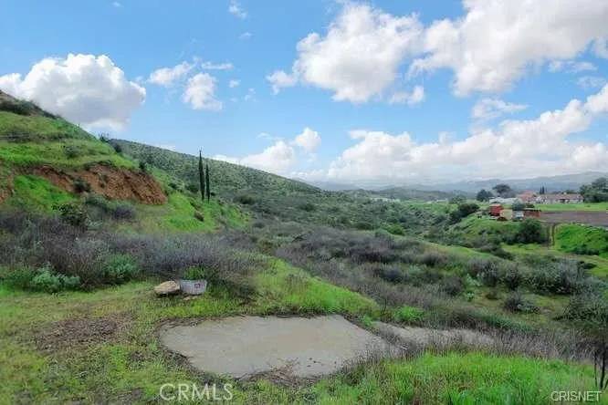 Kagel Canyon, CA 91342,13912 N Mesa Alta