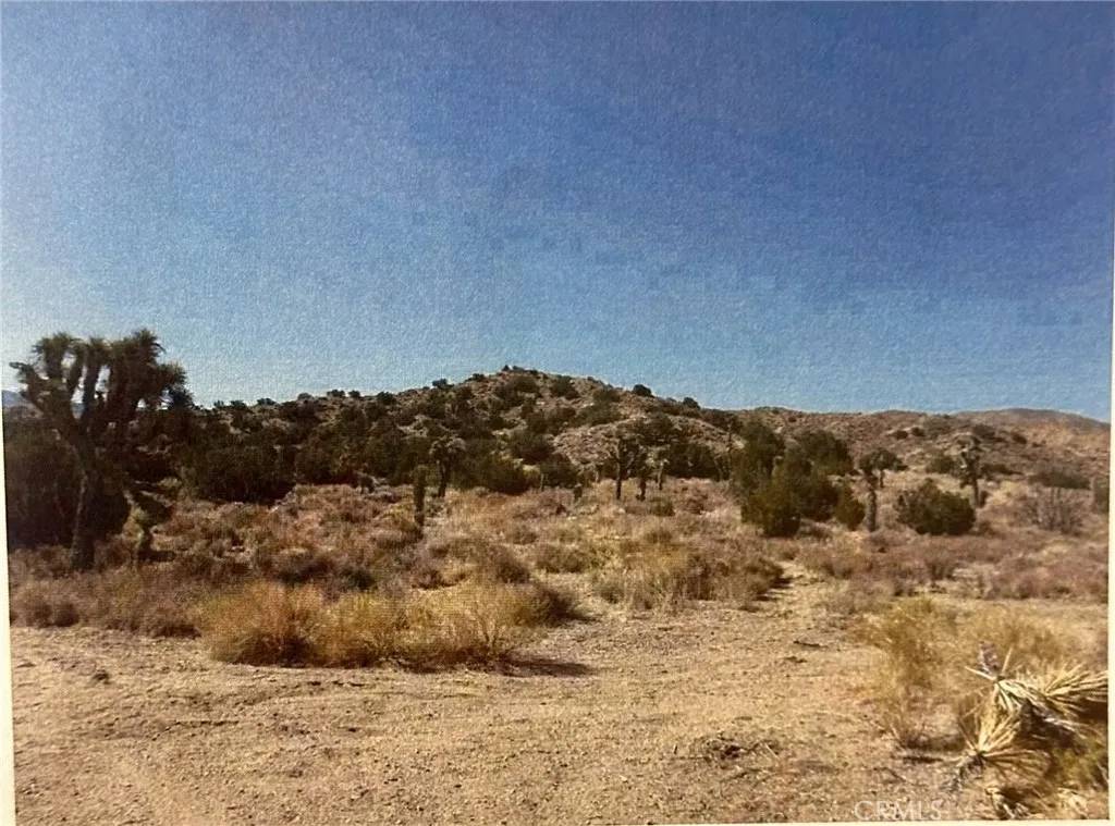 Pearblossom, CA 93355,7 34.471889,-117.929478
