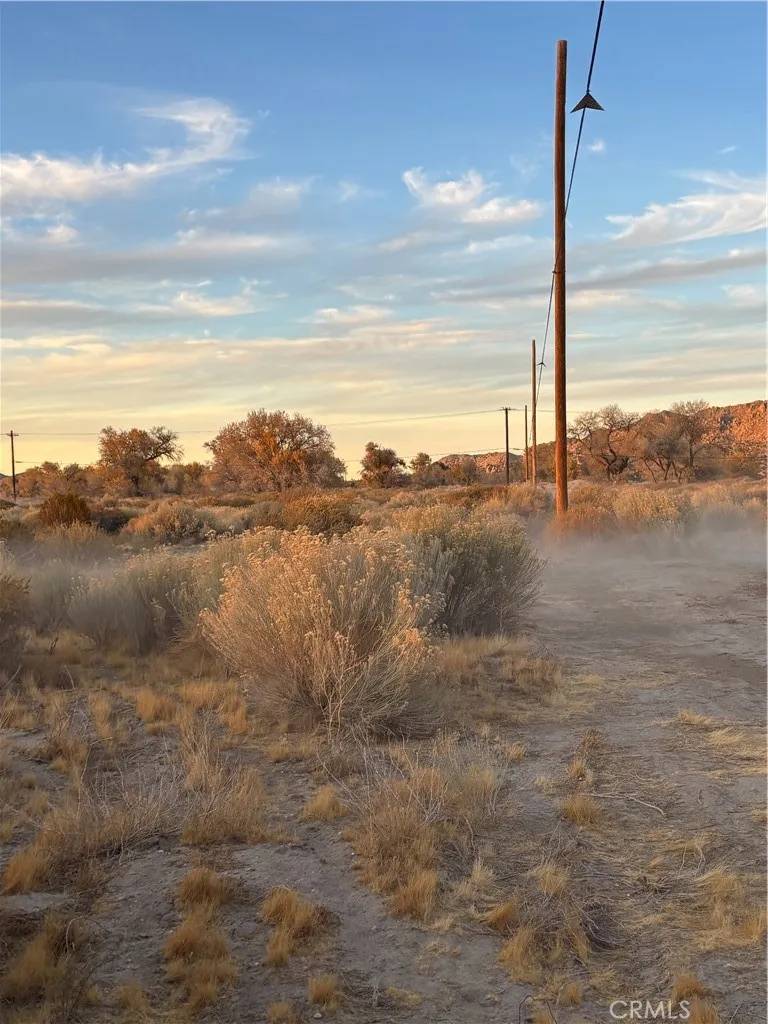 Littlerock, CA 90063,0 COR 147TH STE AVE R2