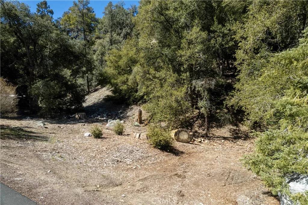 Pine Mountain Club, CA 93222,1301 Bernina