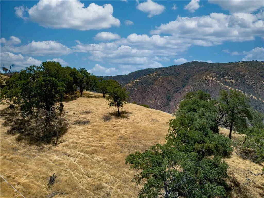 Tehachapi, CA 93561,29201 Deertrail